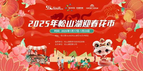 過年擺什么娛樂項(xiàng)目賺錢