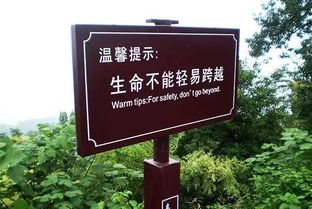 景區(qū)里什么項目賺錢