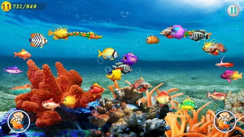 寄居蟹怎么養(yǎng)魚攻略游戲