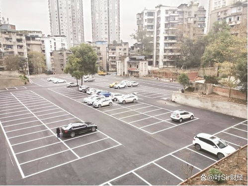 汽車放多少時間不臟亂