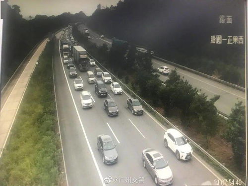湖南女子自駕回貴州堵高速隧道5小時(shí)