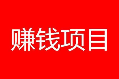 法律賺錢項目是什么