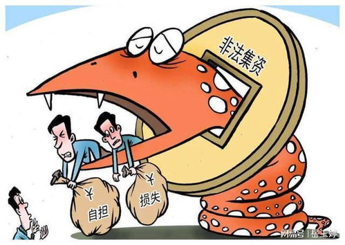 法律賺錢項目是什么