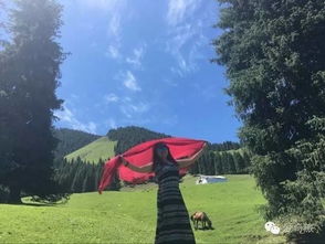 新疆景區(qū)做什么項目比較賺錢