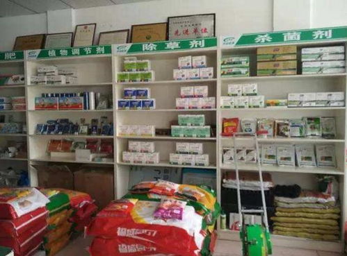 擺攤做什么小項目賺錢多