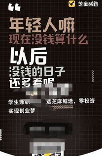 編程新手能做什么項(xiàng)目賺錢
