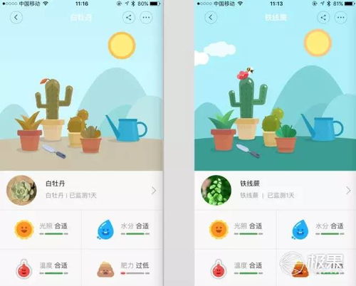 小米手機(jī)怎么養(yǎng)花