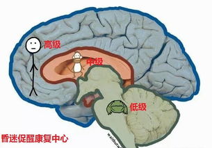 想躺平是大腦的自我保護(hù)機(jī)制