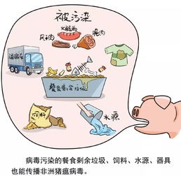 想躺平是大腦的自我保護(hù)機(jī)制