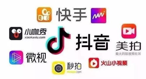 什么項(xiàng)目能拍視頻賺錢