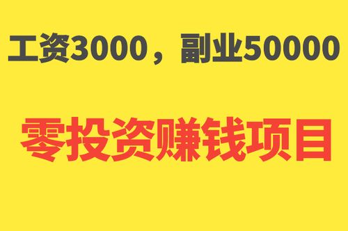什么項目零投資賺錢快