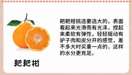 最善良的水果——耙耙柑的熱度超砂糖橘