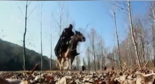 村民失羊事件與無(wú)人機(jī)找回奇跡
