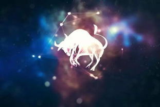 金牛女喜歡什么星座男
