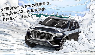 十二星座什么車漂亮