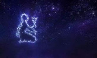 什么星座很開放