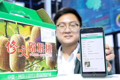 海晏村做什么項目好賺錢
