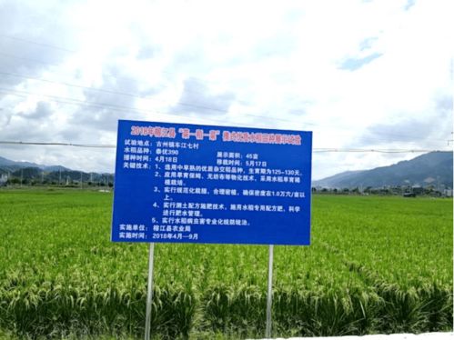 三畝地能干什么項目賺錢