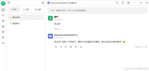 硅基流動deepseek記錄怎么保存