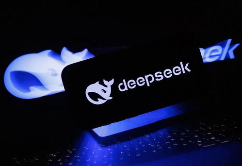 deepseek怎么有攻擊力