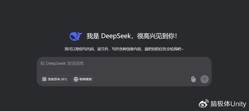 deepseek怎么不能讀取圖片