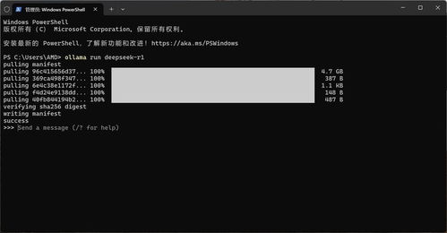 deepseek下載之后怎么用