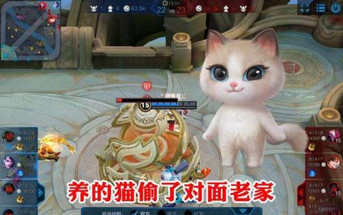 小錦鯉怎么養(yǎng)貓攻略游戲
