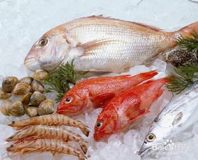 鴨嘴魚怎么吃 百度網(wǎng)盤