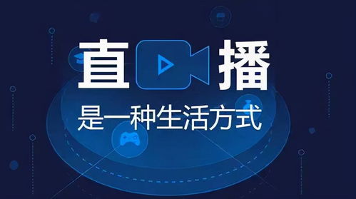 舞臺互動能做什么項目賺錢