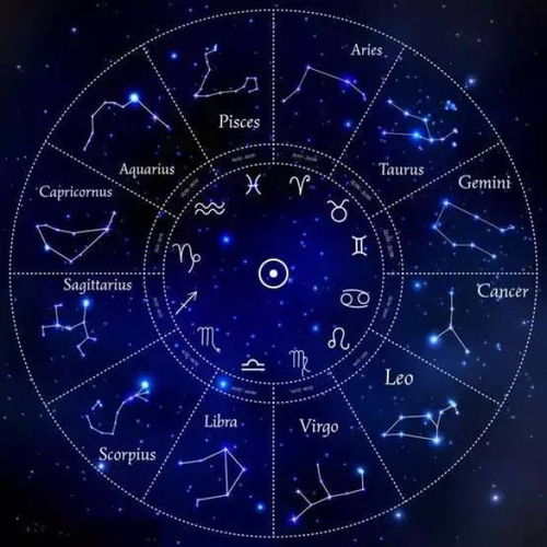 12星座自帶什么病