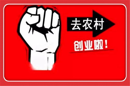 有什么賺錢(qián)的好項(xiàng)目加盟