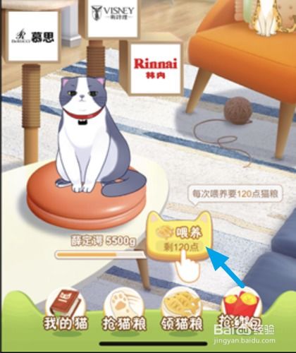 乙女心怎么養(yǎng)貓攻略游戲