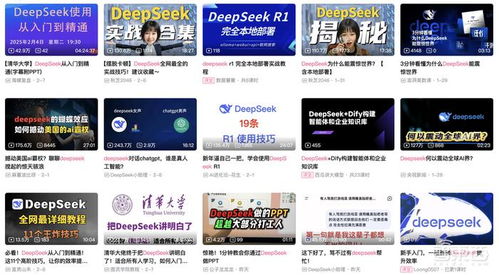 deepseek怎么聊天要網(wǎng)站