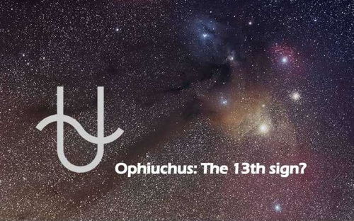 什么星座為什么什么