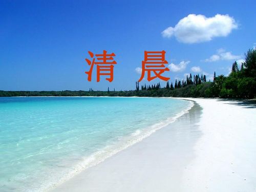 沙灘旅游項目什么最賺錢