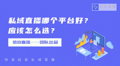 做私域什么項(xiàng)目好賺錢