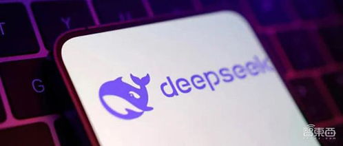 deepseek多模態(tài)怎么應用