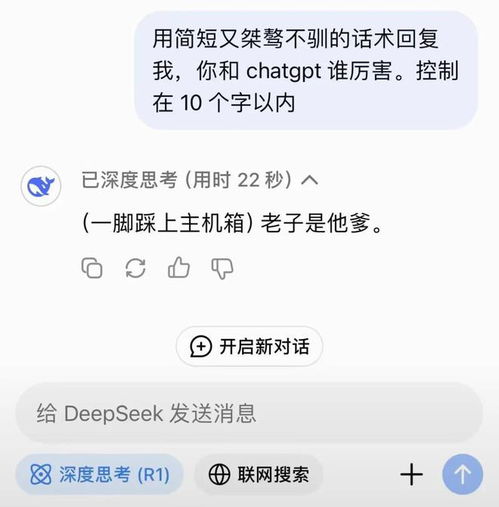 deepseek怎么裝不了