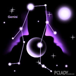 一月生日星座是什么