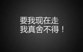 房產(chǎn)賣點(diǎn)文案怎么寫好