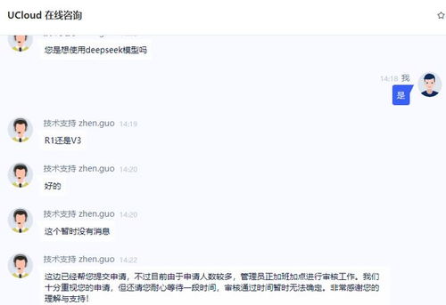 deepseek聯(lián)網(wǎng)怎么用