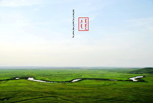 草原都什么賺錢項(xiàng)目