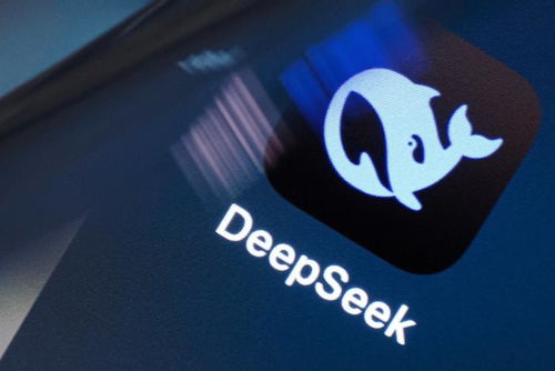 蘋果deepseek怎么打不開