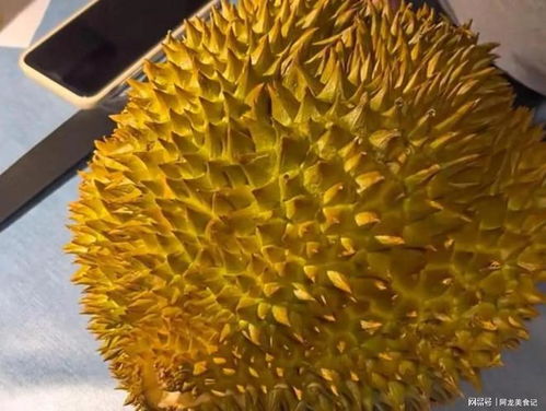 新手怎么挑榴蓮攻略游戲