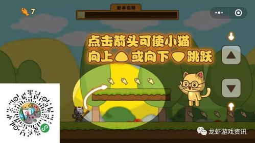 貓咪戶外攻略游戲怎么玩
