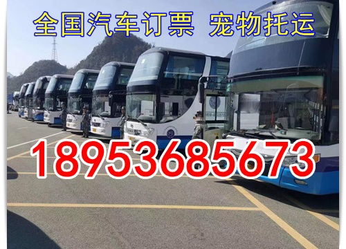 濟南到東營汽車多少錢