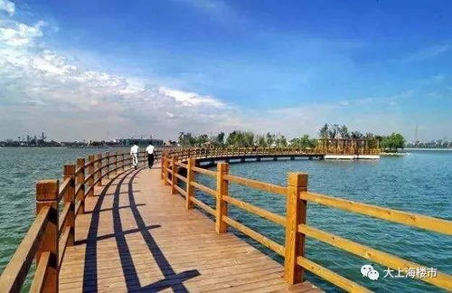水湖可以做什么項(xiàng)目賺錢