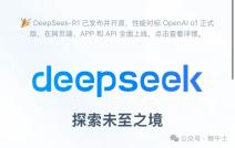 deepseek怎么寫python