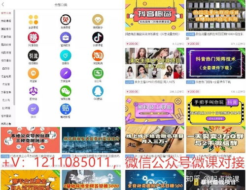 揭秘賺錢項(xiàng)目是什么意思