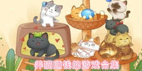 金錢木怎么養(yǎng)貓攻略游戲
